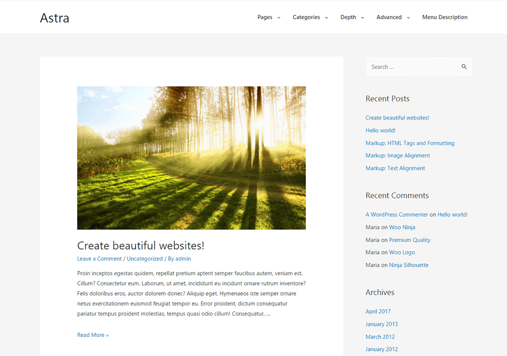 astra theme preview