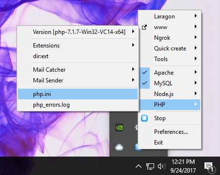 laragon php options