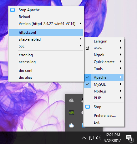 laragon apache options