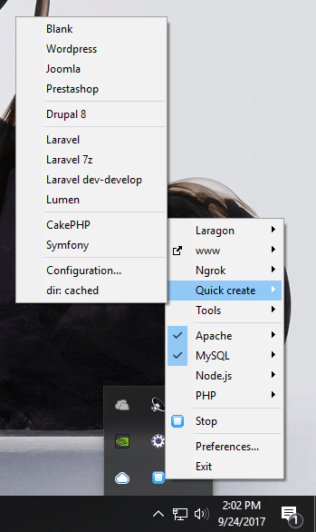 laragon quick create options