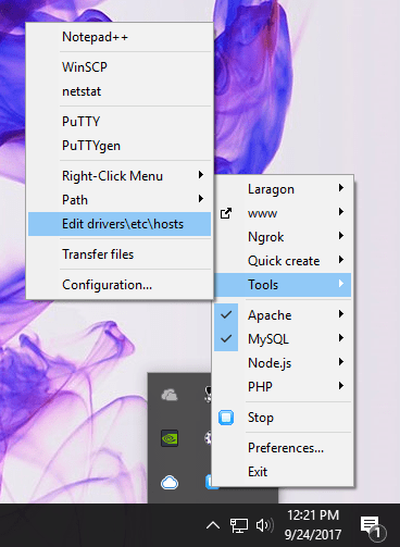 laragon tools options
