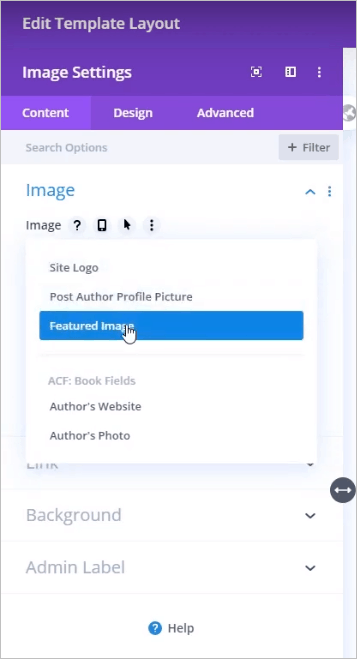 Divi dynamic options