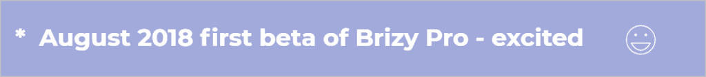Brizy Timeline August 2018