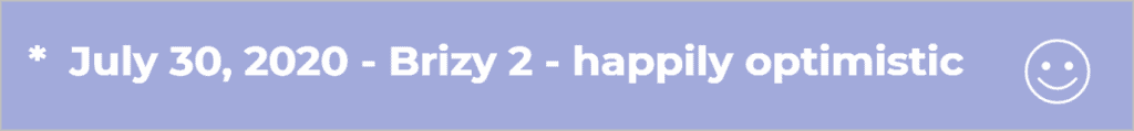 Brizy Timeline July 30 2020