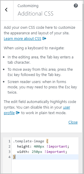 Add Css To The Customizer