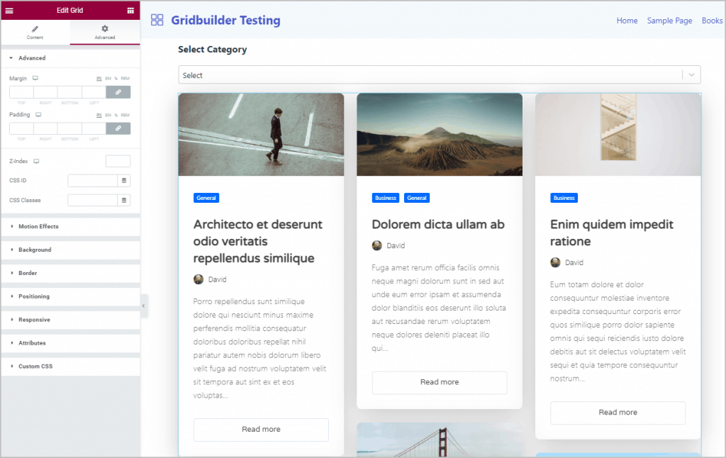 elementor advanced options