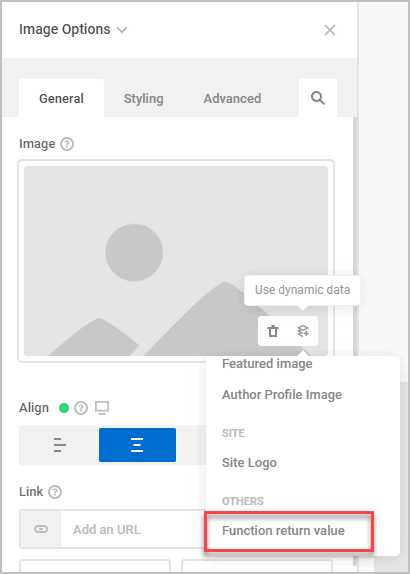option for a function return value