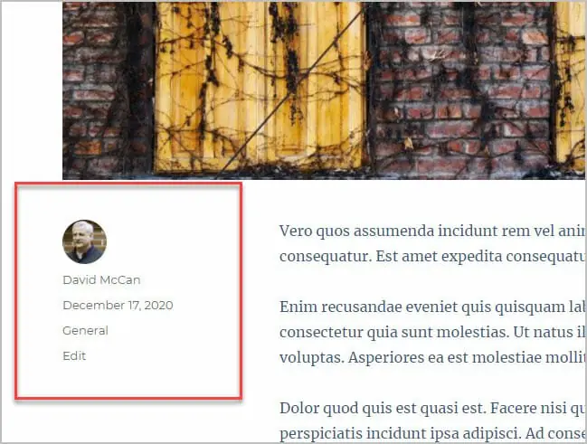 post meta on single post