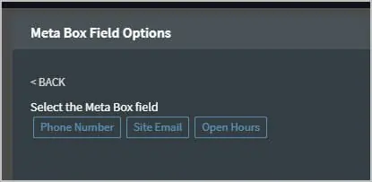 ability to select the meta box fields