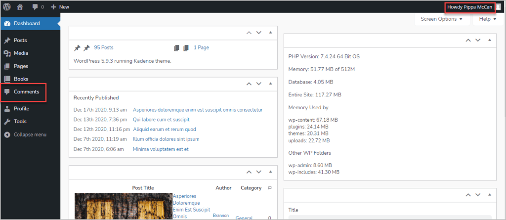 adminify comments menu showing to editor