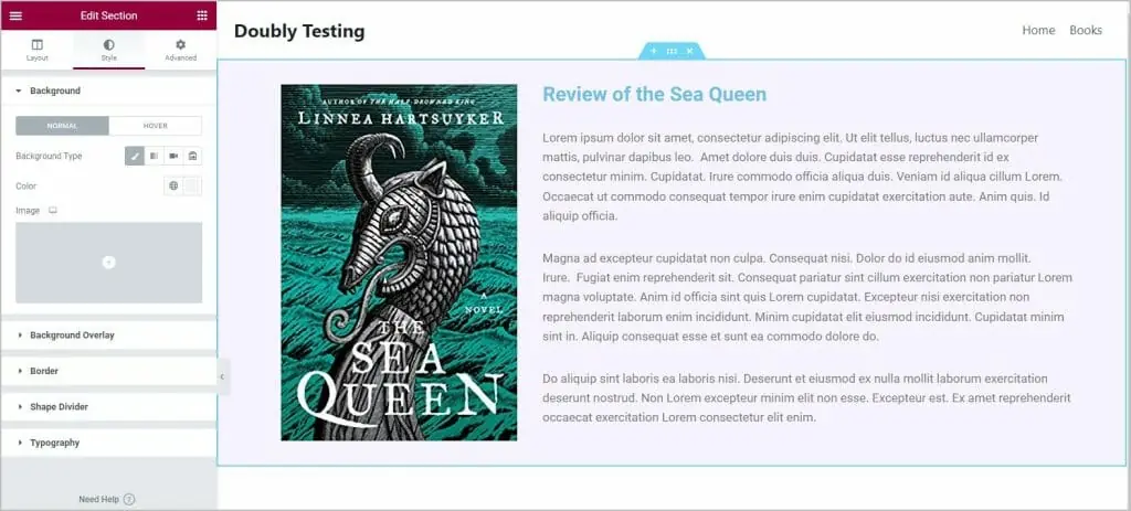 section created in the elementor editor