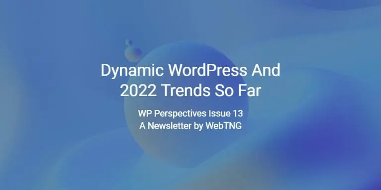 wp perspectives issue 13