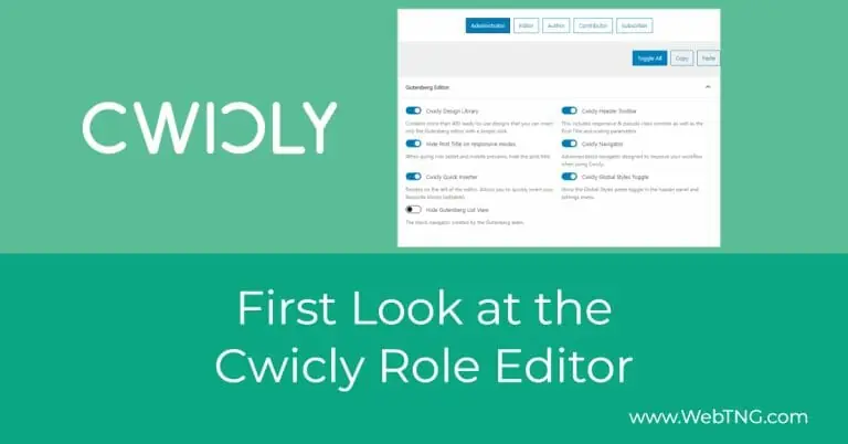 first look at the cwicly role editor