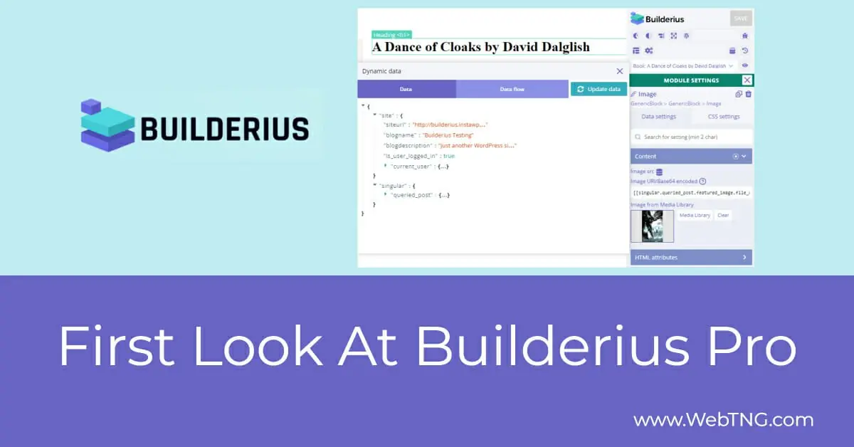 First Look At Builderius Pro - WebTNG