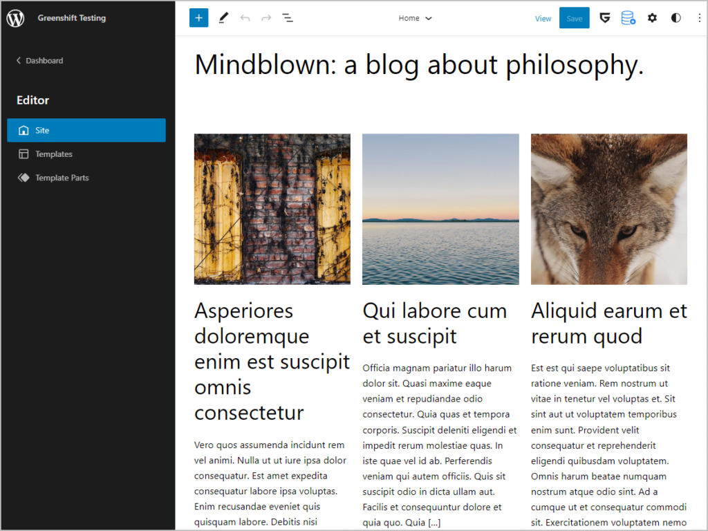the wordpress full site editor