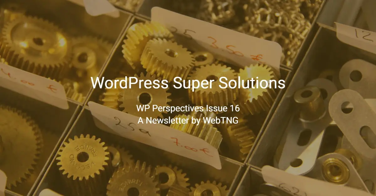 WP Perspectives Issue 16: WordPress Super Solutions - WebTNG