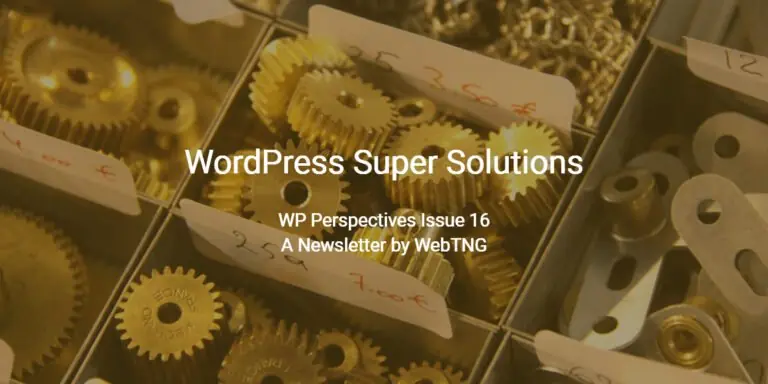 wp perspectives issue 16 wordpress super solutions