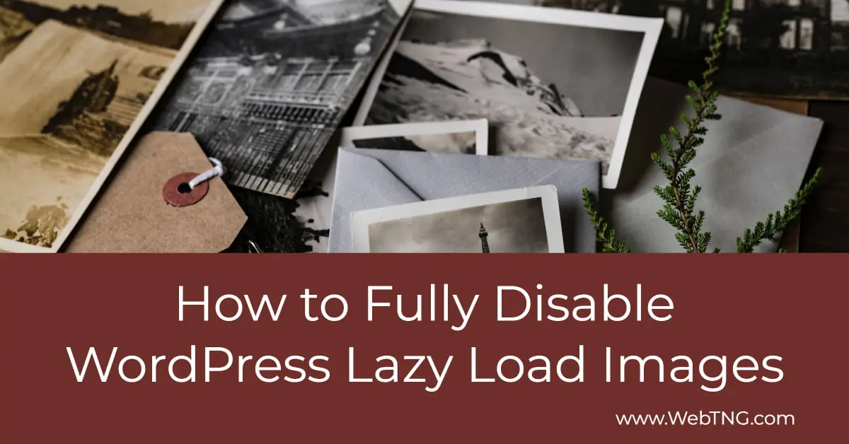 Stop Image Loading How to Fully Disable WordPress Lazy Load Images - WebTNG