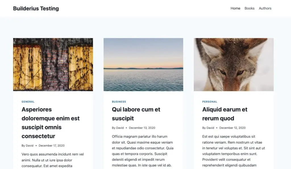 builderius testing site