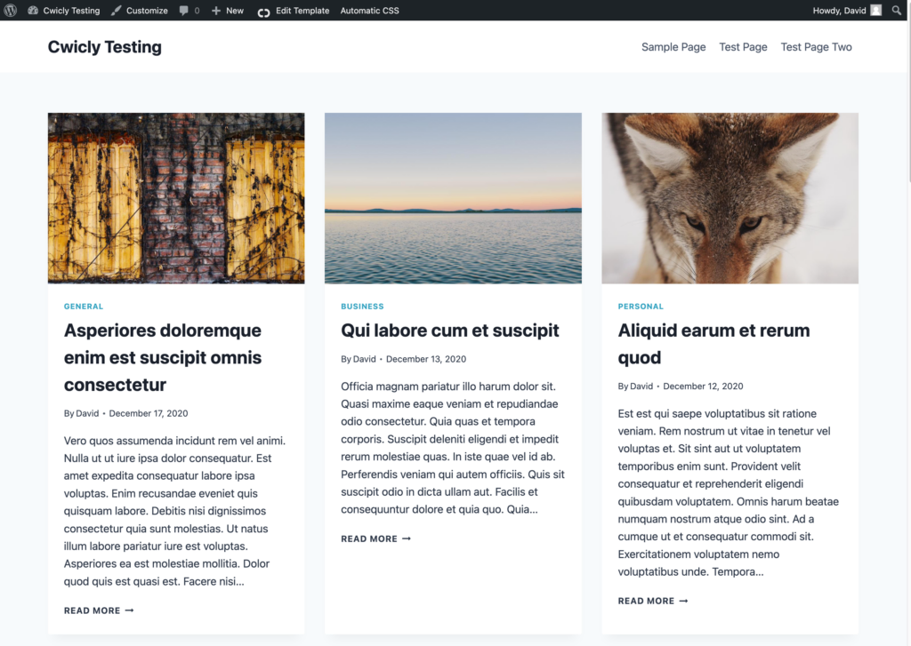 bricks site with kadence theme