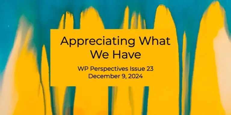 wp perspectives issue 23 feature