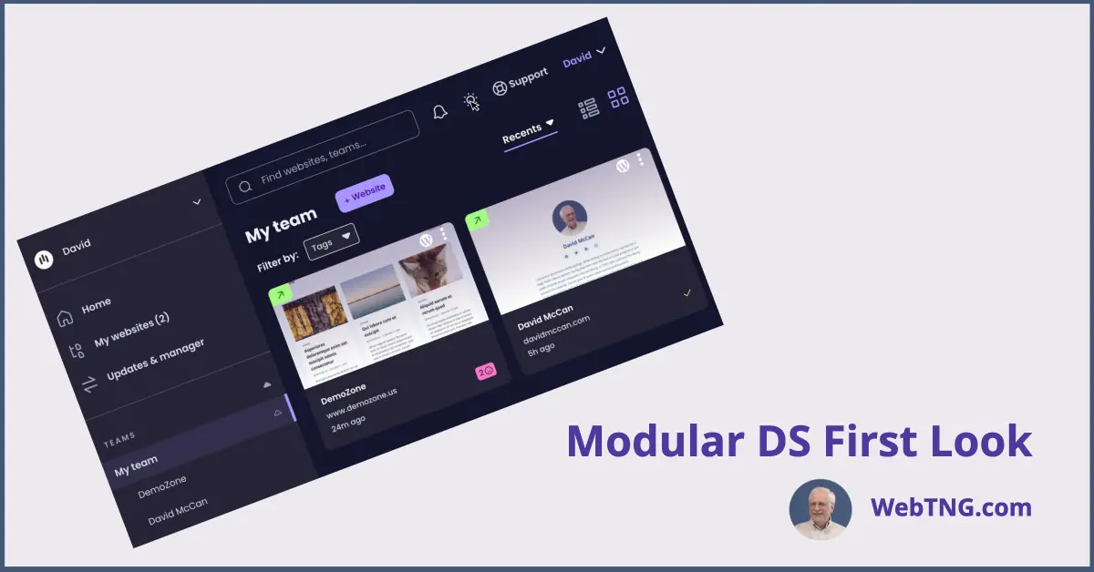First Look at Modular DS - WebTNG