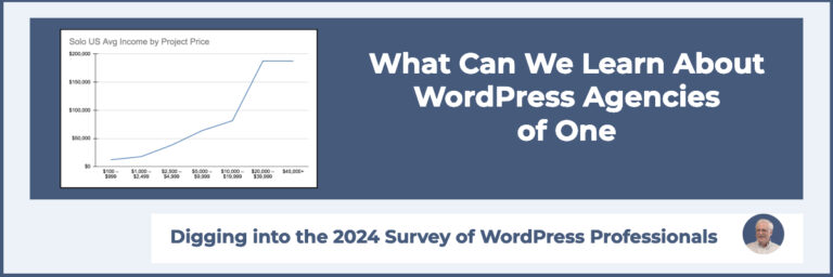 info about wordpress agencies
