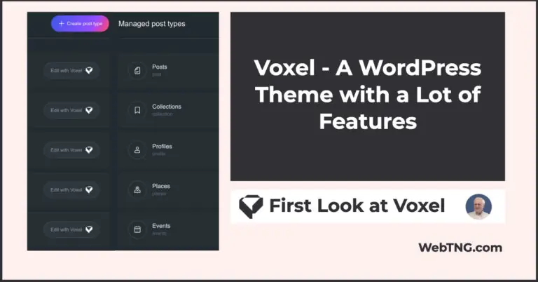 First Look at Voxel