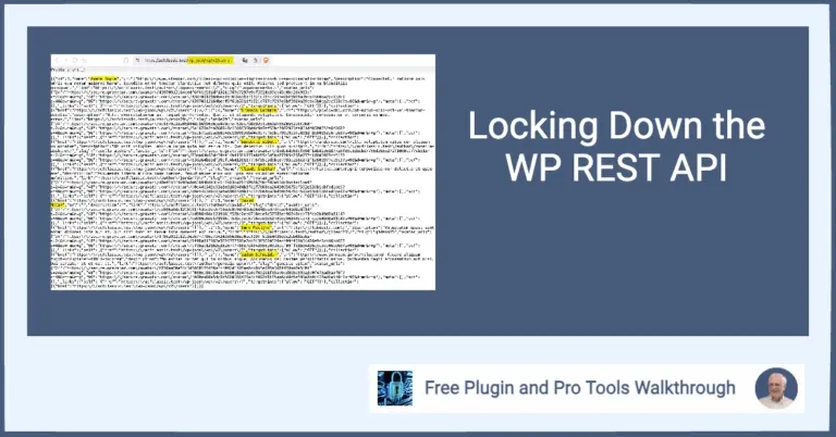 Locking down the wp rest api